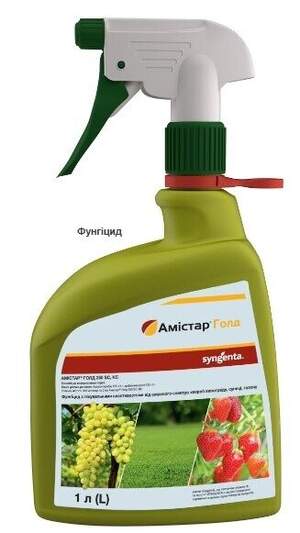 Фунгицид Спрей Амистар 1 л Syngenta Фунгицид Спрей Амистар 1 л Syngenta
